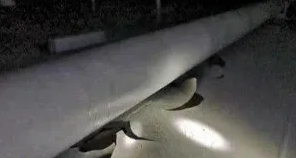 微信截图_20201122220637.png