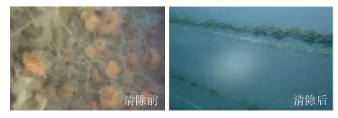 1657261246527077.png 1.png