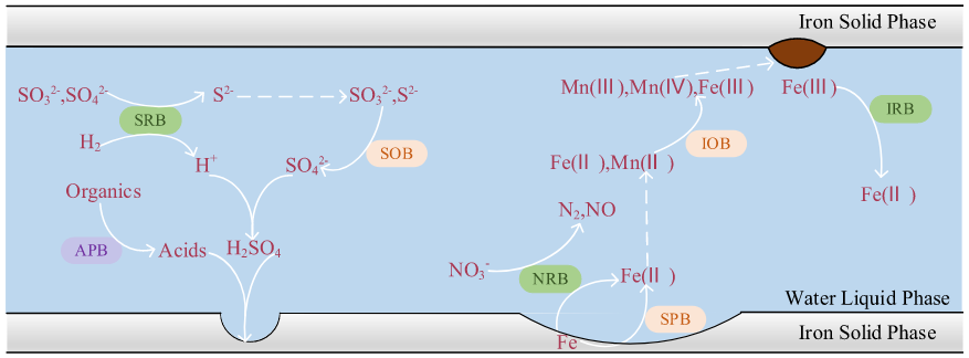 1763606660839370.png 2003.png