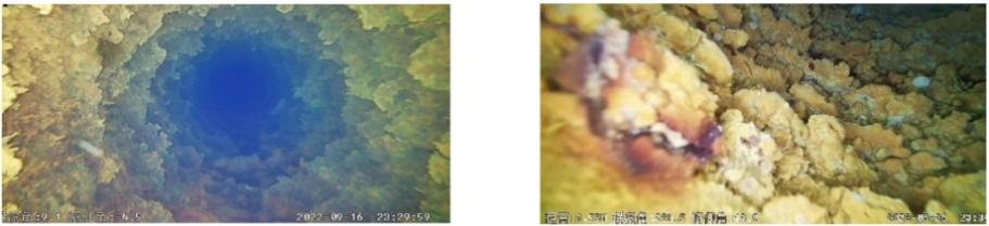 1763607114273857.png 2007.png